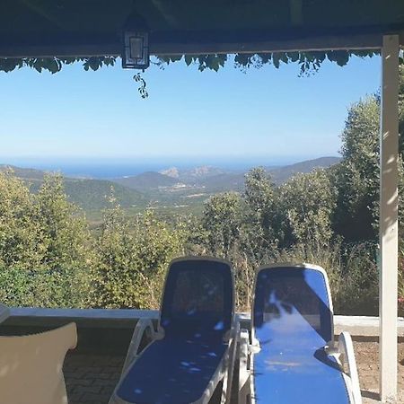 Vos Vacances A Lama France Corse ภายนอก รูปภาพ