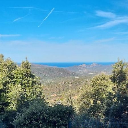 Vos Vacances A Lama France Corse ภายนอก รูปภาพ