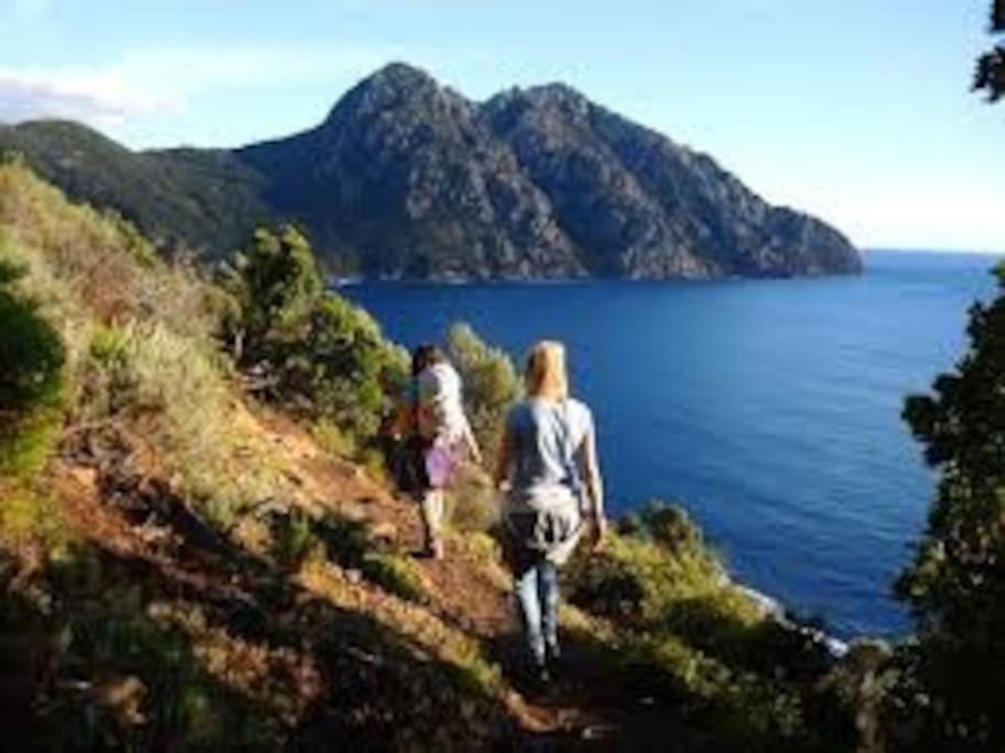 Vos Vacances A Lama France Corse ภายนอก รูปภาพ