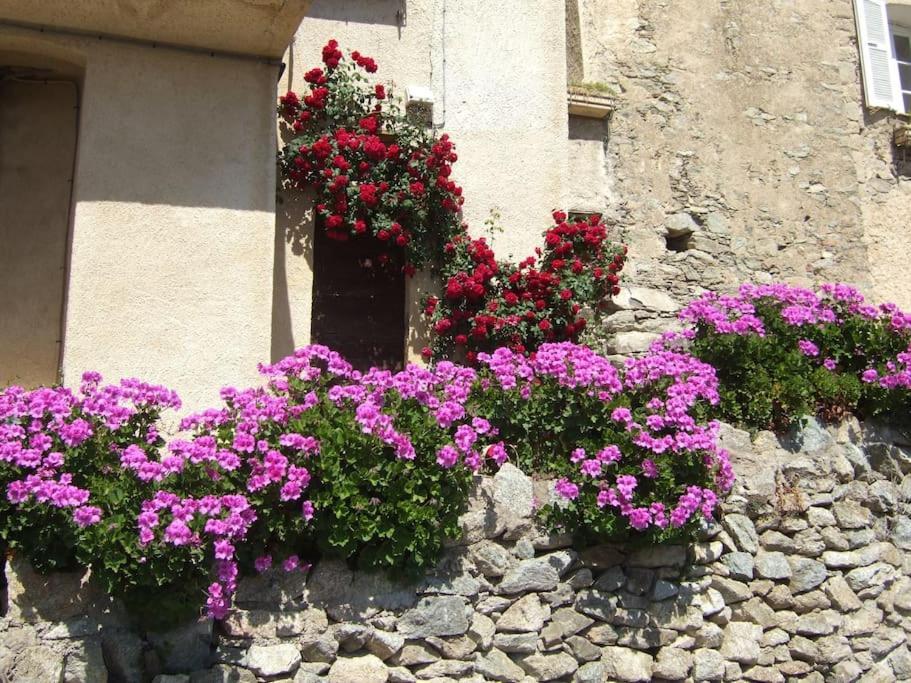 Vos Vacances A Lama France Corse ภายนอก รูปภาพ