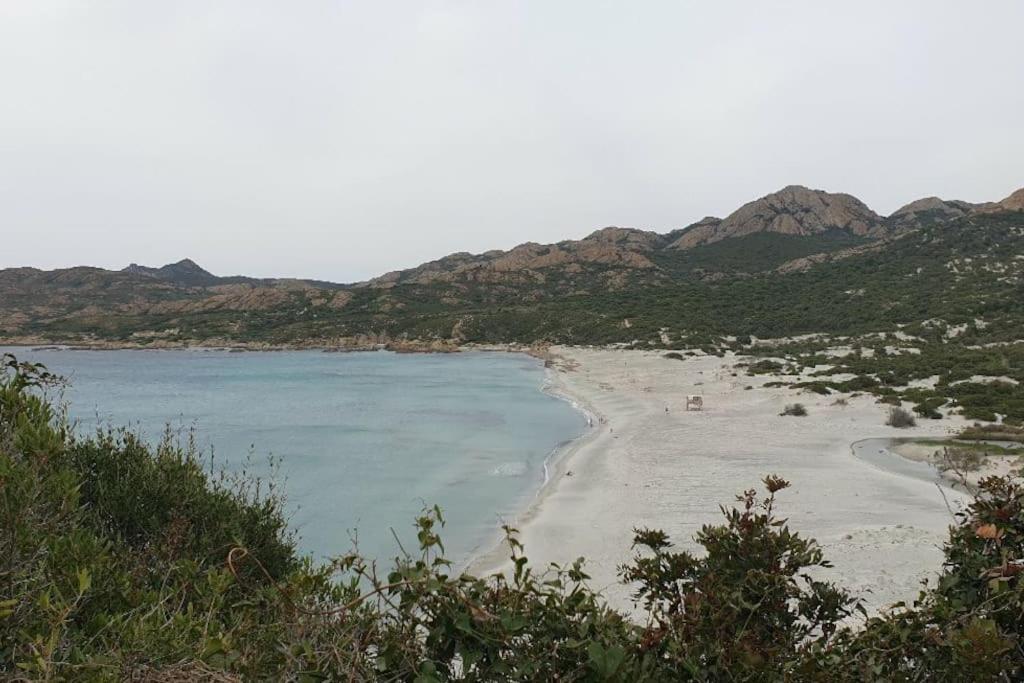 Vos Vacances A Lama France Corse ภายนอก รูปภาพ