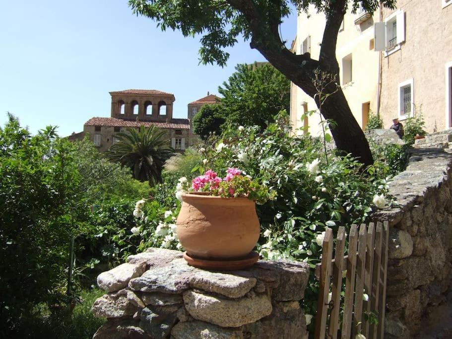 Vos Vacances A Lama France Corse ภายนอก รูปภาพ