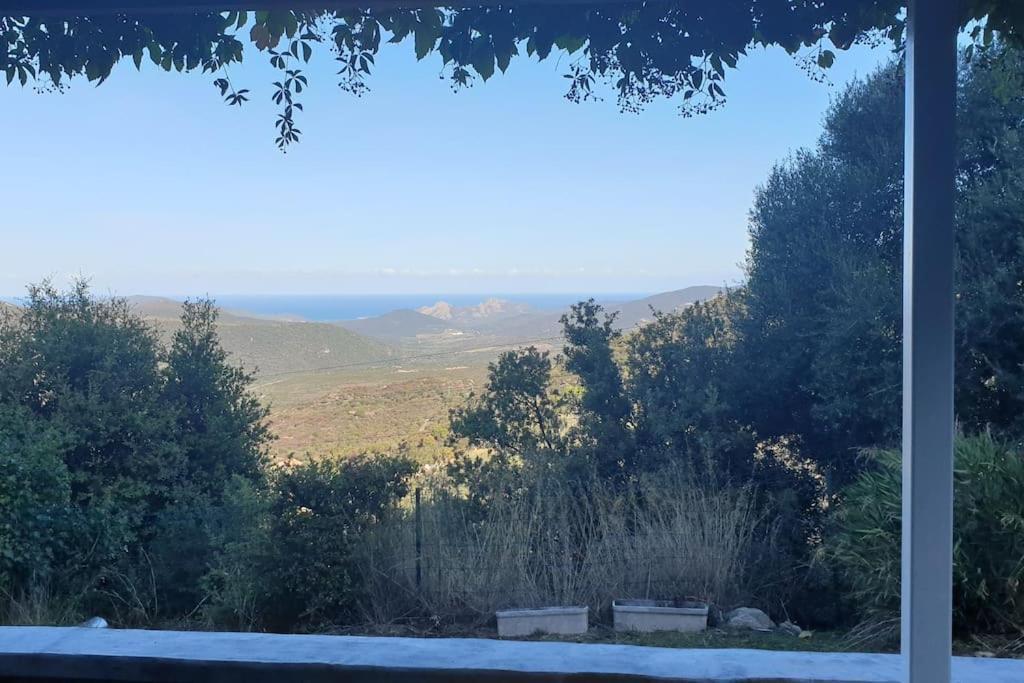 Vos Vacances A Lama France Corse ภายนอก รูปภาพ