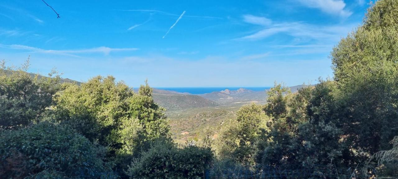 Vos Vacances A Lama France Corse ภายนอก รูปภาพ