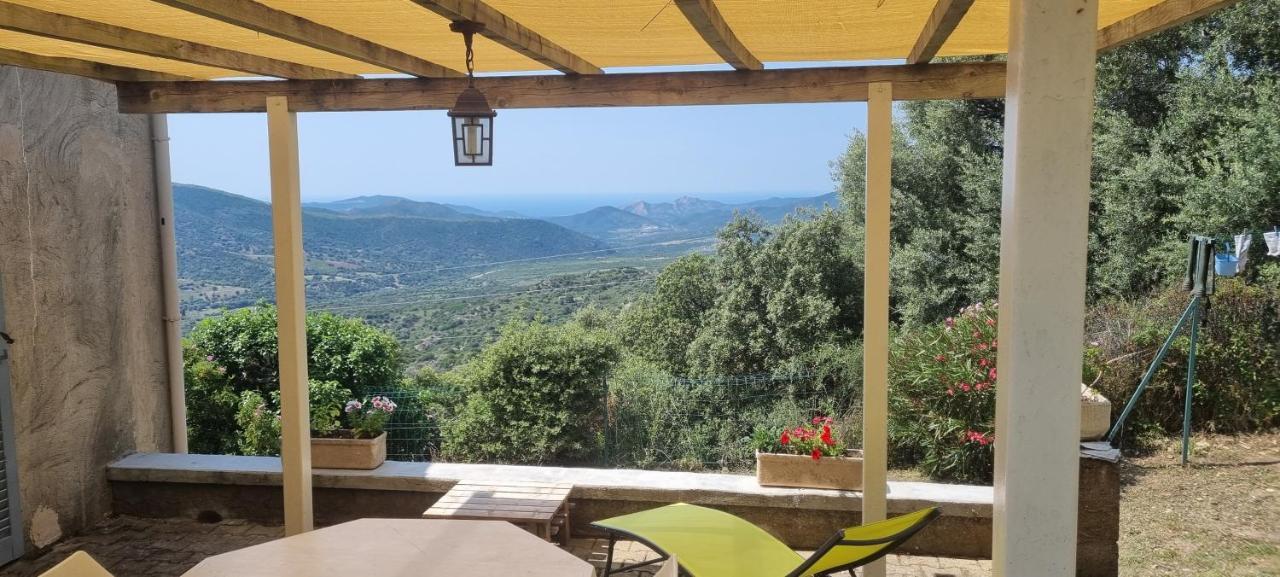 Vos Vacances A Lama France Corse ภายนอก รูปภาพ